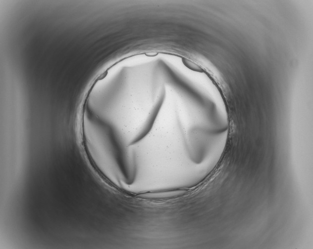 X0000100911528200807220940