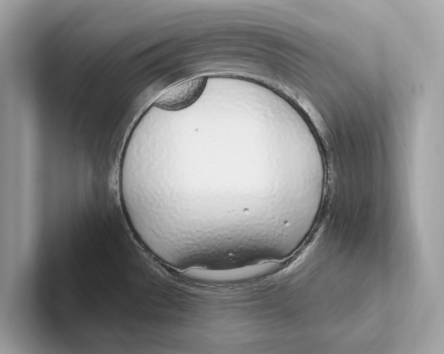 X0000100911529200807220940