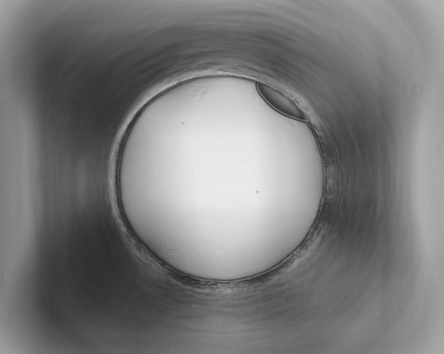 X0000100911530200807220940