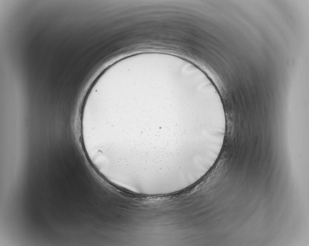 X0000100911531200807220940