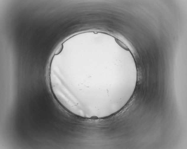 X0000100911532200807220940