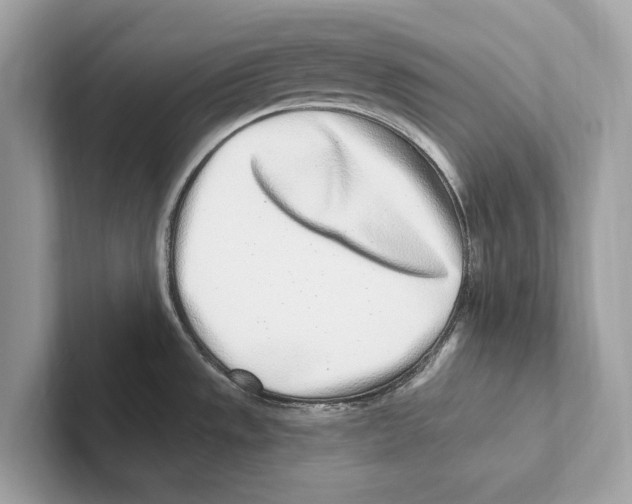 X0000100911533200807220940