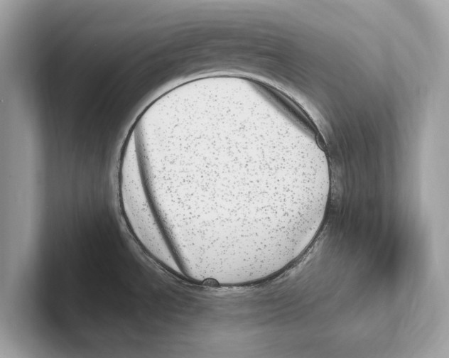 X0000100911534200807220940