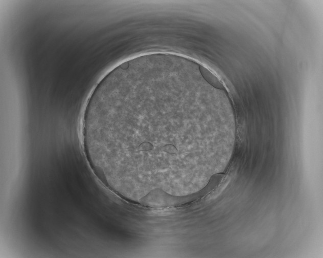 X0000100911535200807220940