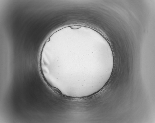 X0000100911536200807220940