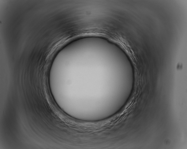 X0000100920001200806241125