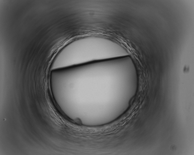X0000100920002200806241125