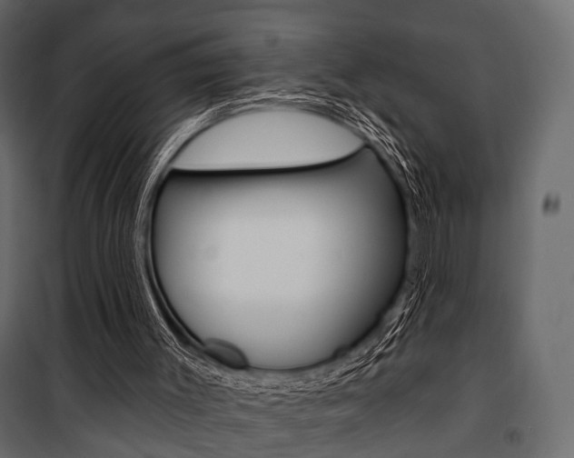 X0000100920003200806241125