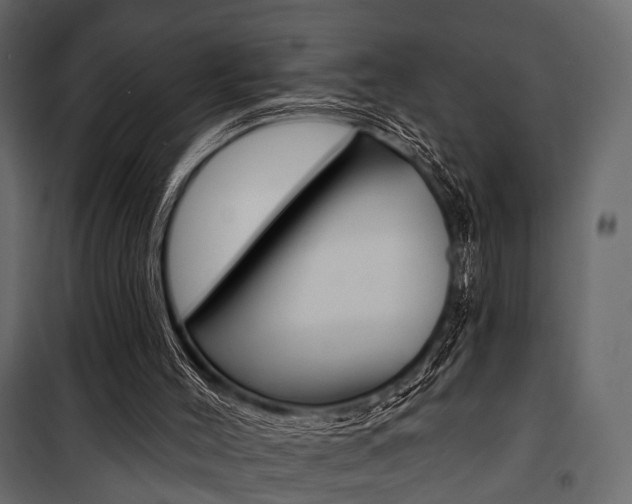 X0000100920004200806241124