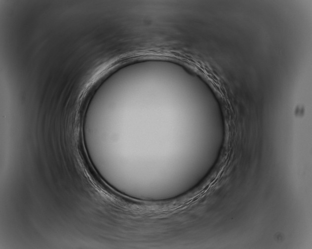 X0000100920005200806241124