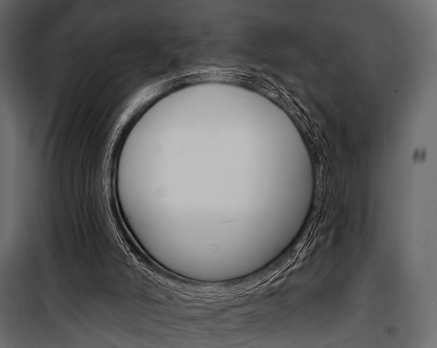 X0000100920006200806241124