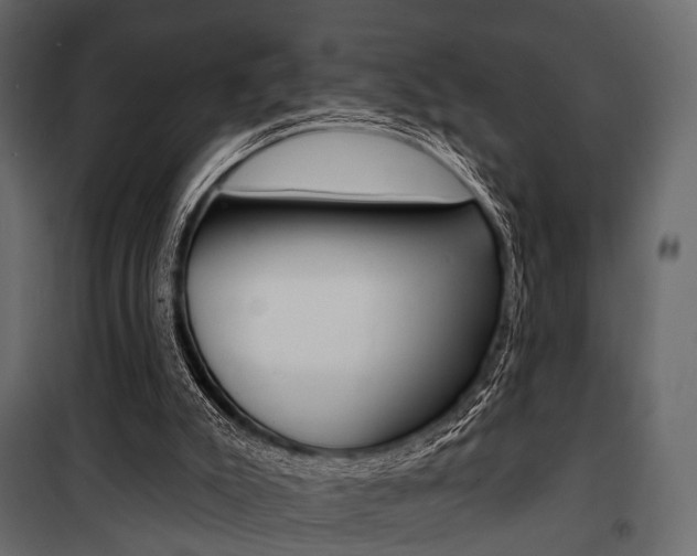 X0000100920007200806241124