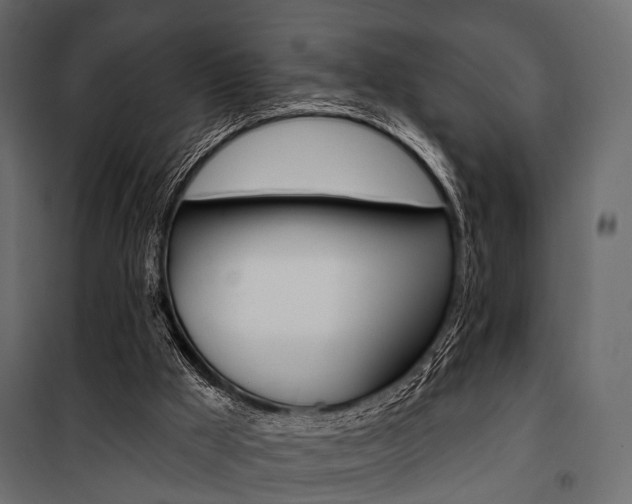 X0000100920009200806241124