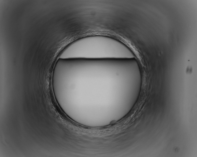 X0000100920010200806241124