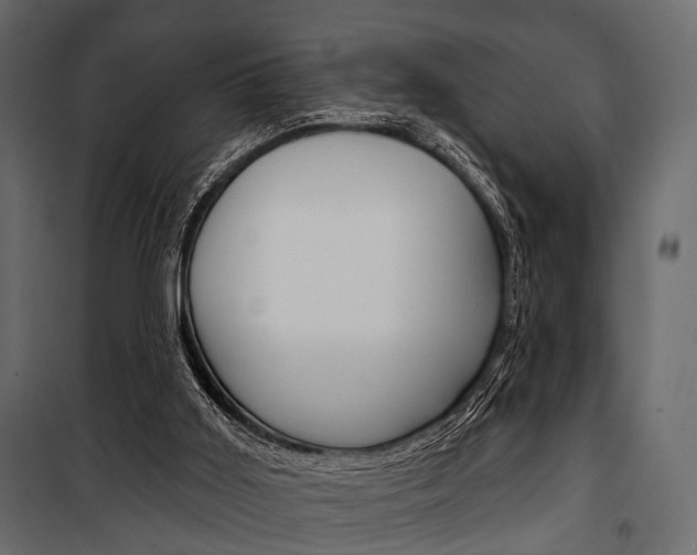 X0000100920011200806241124