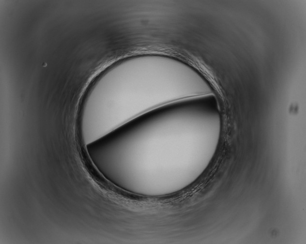 X0000100920012200806241124