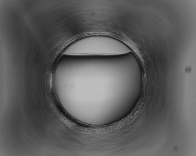 X0000100920013200806241124