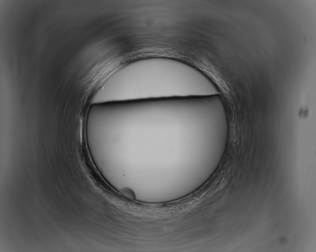 X0000100920014200806241124