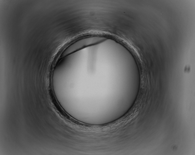 X0000100920015200806241124