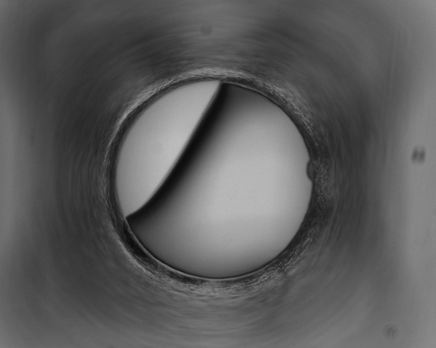 X0000100920016200806241124