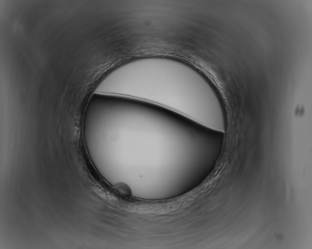 X0000100920017200806241124