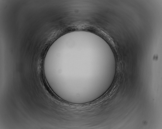 X0000100920018200806241124