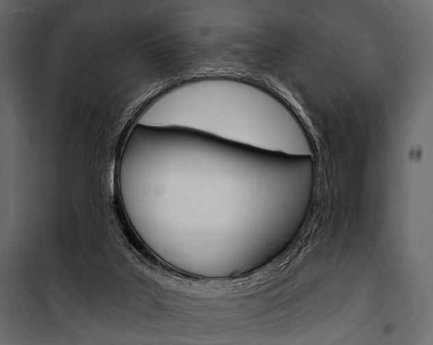 X0000100920019200806241124