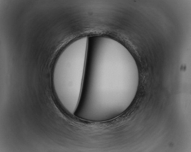 X0000100920020200806241124