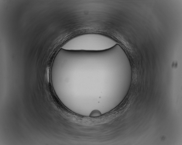 X0000100920022200806241124