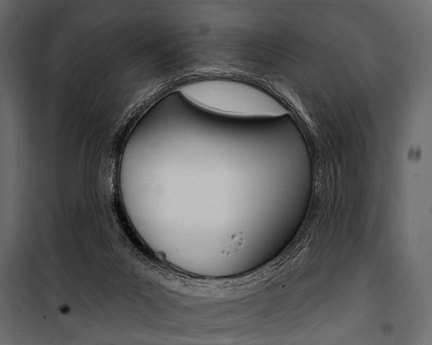 X0000100920023200806241124