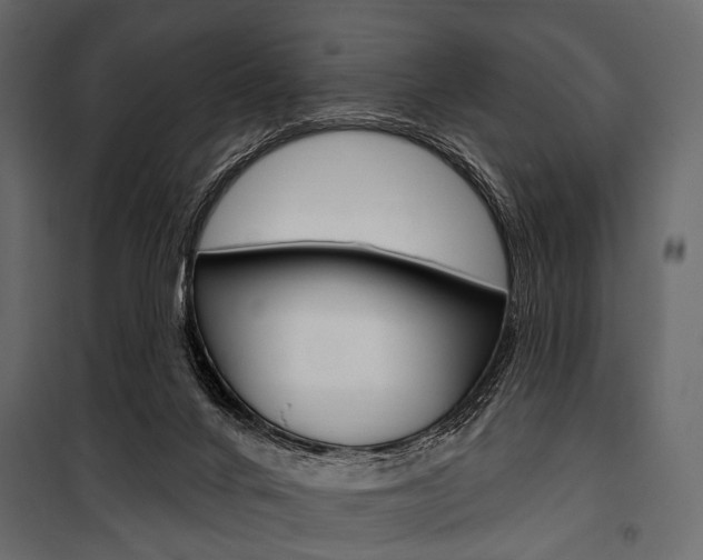 X0000100920024200806241124