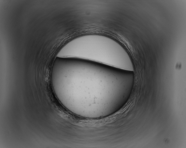 X0000100920025200806241124