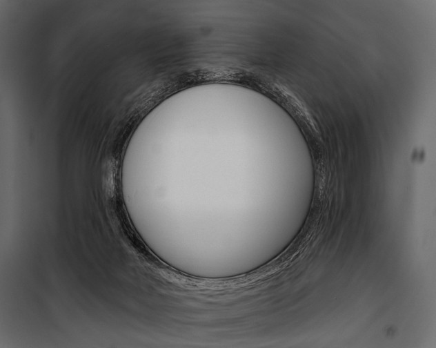 X0000100920026200806241124