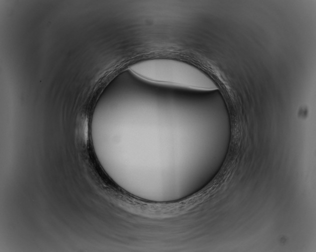 X0000100920027200806241124