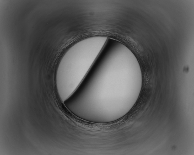 X0000100920028200806241124
