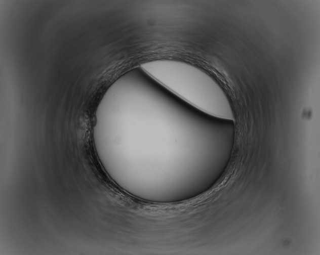 X0000100920029200806241124