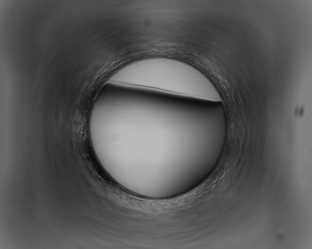 X0000100920031200806241124