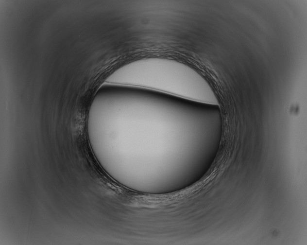 X0000100920033200806241124
