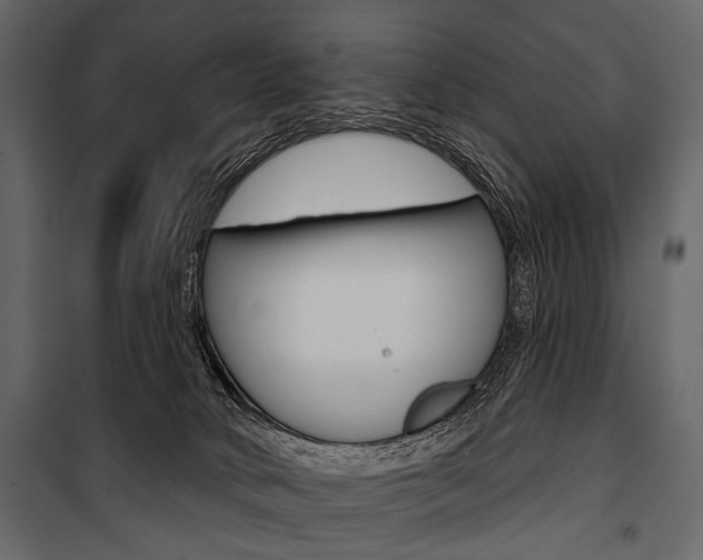 X0000100920034200806241124