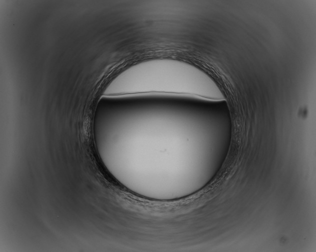 X0000100920035200806241124