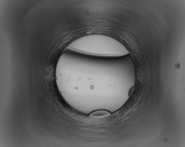 X0000100920036200806241124