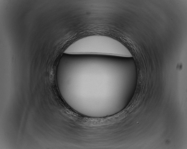X0000100920037200806241124