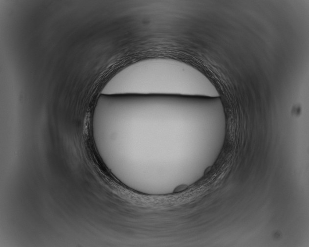 X0000100920038200806241124