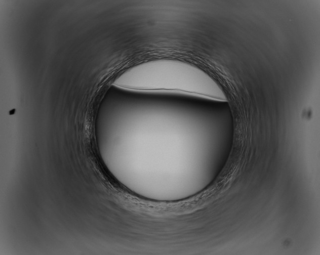 X0000100920039200806241124