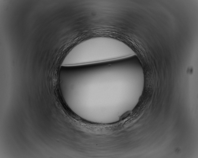 X0000100920040200806241124