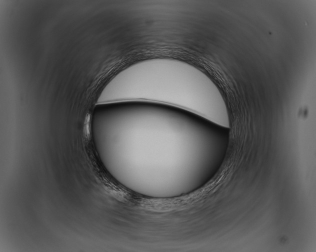 X0000100920041200806241124