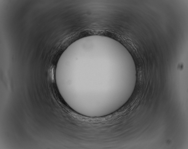 X0000100920042200806241124