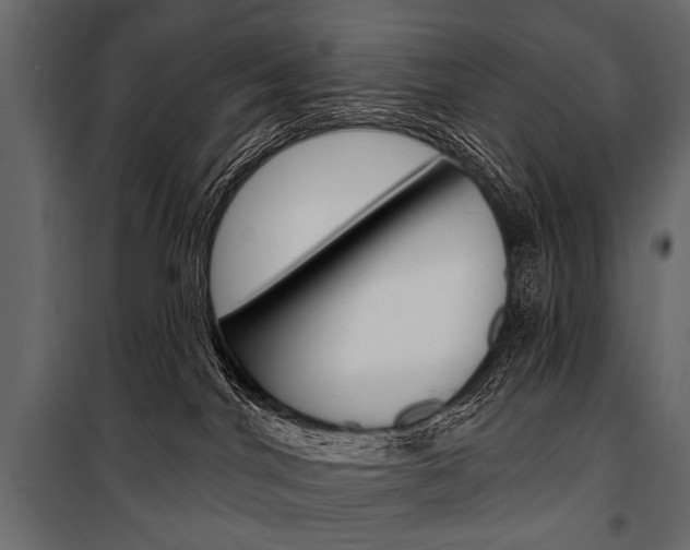 X0000100920044200806241124