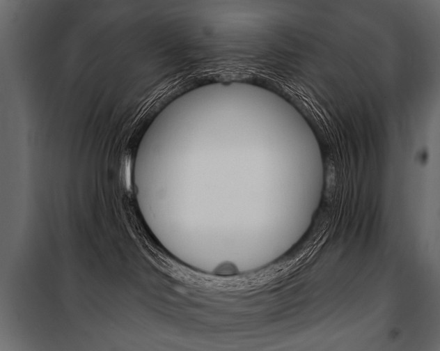 X0000100920046200806241124