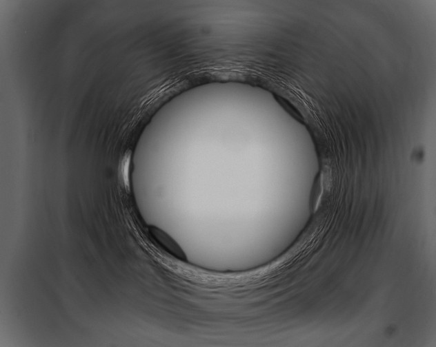 X0000100920047200806241124